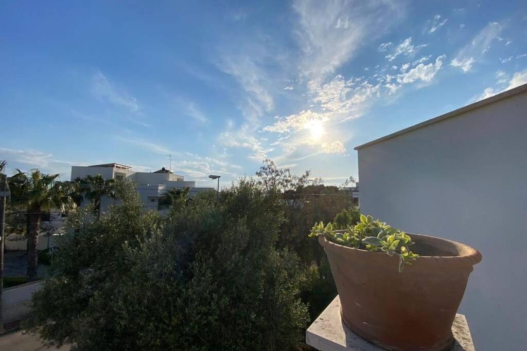Villa Fiorella Porto Cesareo Primo Piano 2 Locali Экстерьер фото